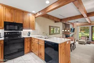 610 S West End St, Aspen, CO 81611 - Photo 10