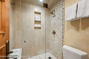 610 S West End St, Aspen, CO 81611 - Photo 14