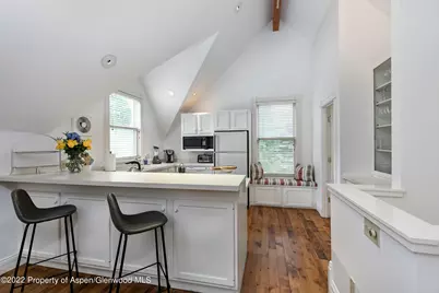 334 W Hallam Street, Aspen, CO 81611 - Photo 24