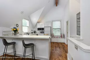 334 W Hallam St, Aspen, CO 81611 - Photo 24