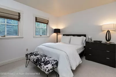 334 W Hallam Street, Aspen, CO 81611 - Photo 30