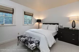 334 W Hallam St, Aspen, CO 81611 - Photo 30
