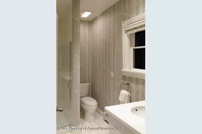 334 W Hallam Street, Aspen, CO 81611 - Photo 14