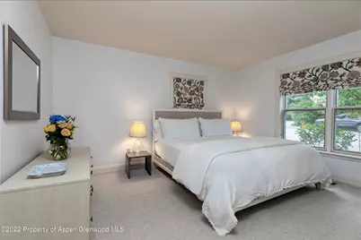 334 W Hallam Street, Aspen, CO 81611 - Photo 28