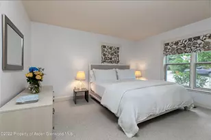 334 W Hallam St, Aspen, CO 81611 - Photo 28