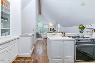 334 W Hallam Street, Aspen, CO 81611 - Photo 26