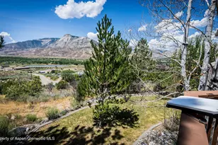 47 Locust Way, Parachute, CO 81635 - Photo 28