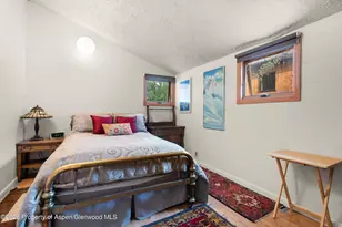 311 Oak Ln, Aspen, CO 81611 - Photo 12