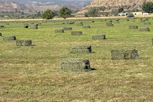 35797 Hwy 6 & 24, Silt, CO 81652 - Photo 96