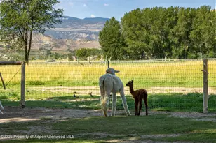 35797 Hwy 6 & 24, Silt, CO 81652 - Photo 26