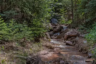 140 Elk Ln, Redstone, CO 81623 - Photo 44