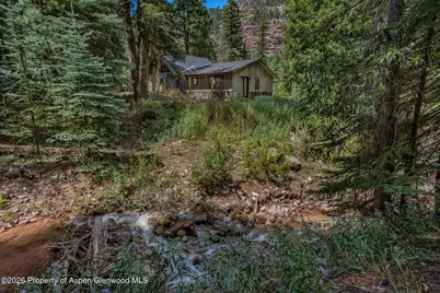 140 Elk Lane, Redstone, CO 81623 - Photo 8