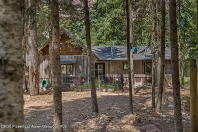 140 Elk Lane, Redstone, CO 81623 - Photo 6