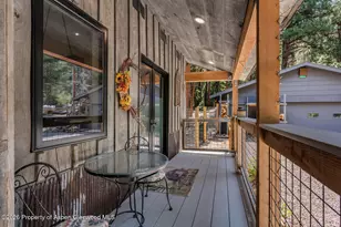 140 Elk Ln, Redstone, CO 81623 - Photo 10
