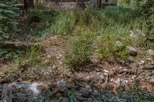 140 Elk Ln, Redstone, CO 81623 - Photo 42