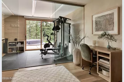 36 Ermine Lane, Snowmass Village, CO 81615 - Photo 50