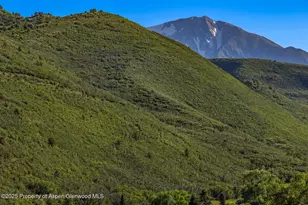 902/904 Sopris Creek Rd, Basalt, CO 81621 - Photo 52