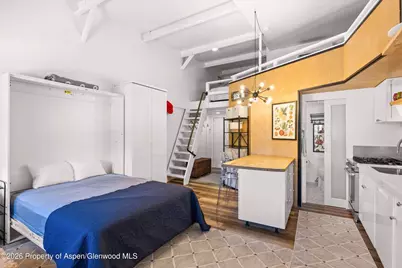 412 N Mill Street #B9, Aspen, CO 81611 - Photo 4