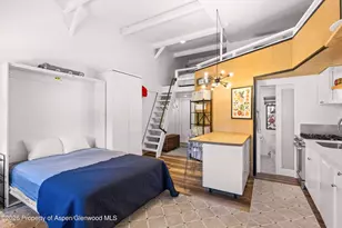 412 N Mill St, Aspen, CO 81611 - Photo 4