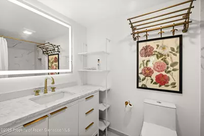 412 N Mill Street #B9, Aspen, CO 81611 - Photo 10