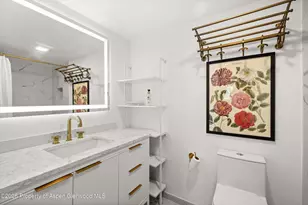412 N Mill St, Aspen, CO 81611 - Photo 10