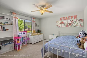115 Badger Rd, Carbondale, CO 81623 - Photo 12