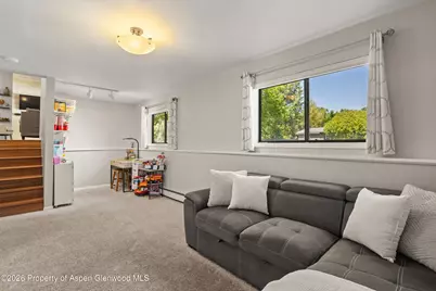 115 Badger Road, Carbondale, CO 81623 - Photo 8