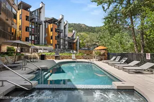 728 S Galena St, Aspen, CO 81611 - Photo 40