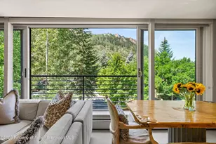 728 S Galena St, Aspen, CO 81611 - Photo 16
