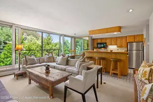 728 S Galena St, Aspen, CO 81611 - Photo 4