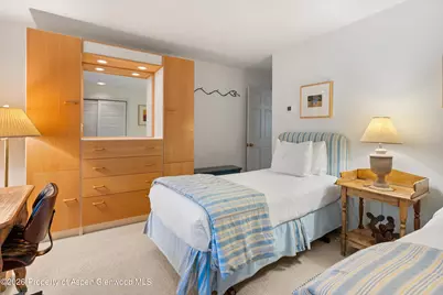 728 S Galena Street #202-B, Aspen, CO 81611 - Photo 28