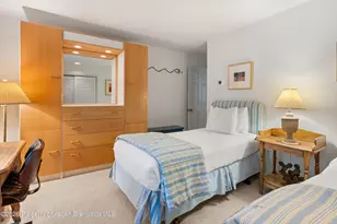 728 S Galena St, Aspen, CO 81611 - Photo 28