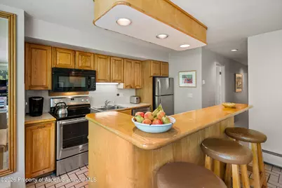 728 S Galena Street #202-B, Aspen, CO 81611 - Photo 20