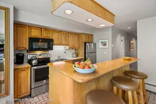 728 S Galena St, Aspen, CO 81611 - Photo 20