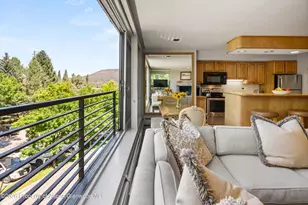 728 S Galena St, Aspen, CO 81611 - Photo 8