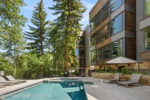 728 S Galena St, Aspen, CO 81611 - Photo 42