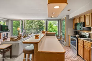 728 S Galena St, Aspen, CO 81611 - Photo 22