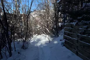 728 S Galena St, Aspen, CO 81611 - Photo 36