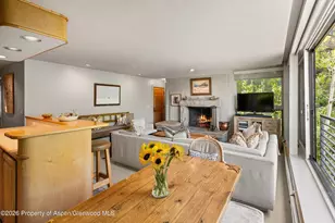 728 S Galena St, Aspen, CO 81611 - Photo 18