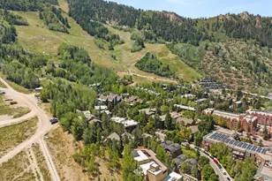 728 S Galena St, Aspen, CO 81611 - Photo 38