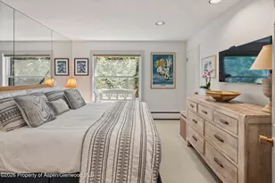 728 S Galena St, Aspen, CO 81611 - Photo 24