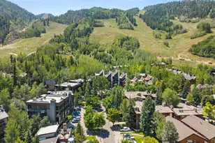 728 S Galena St, Aspen, CO 81611 - Photo 34