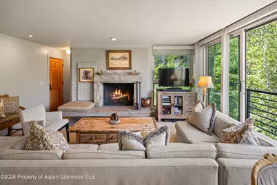 728 S Galena Street #202-B, Aspen, CO 81611 - Photo 10