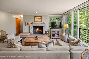 728 S Galena St, Aspen, CO 81611 - Photo 10