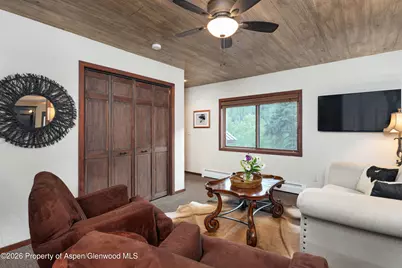 294 Ruedi Creek Road, Basalt, CO 81621 - Photo 62
