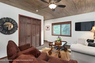 294 Ruedi Creek Rd, Basalt, CO 81621 - Photo 62