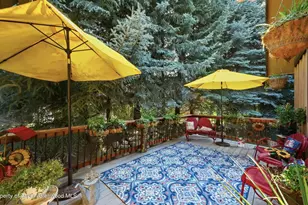4132 Crystal Bridge Dr, Carbondale, CO 81623 - Photo 8