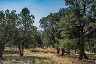 Tbd Sopris Ln, Carbondale, CO 81623 - Photo 6