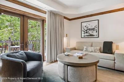415 E Dean St, Unit 18, Week 28, Aspen, CO 81611 - Photo 6