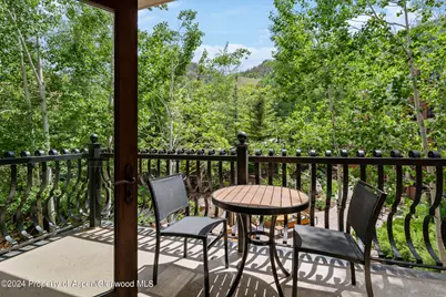 415 E Dean St, Unit 18, Week 28, Aspen, CO 81611 - Photo 8